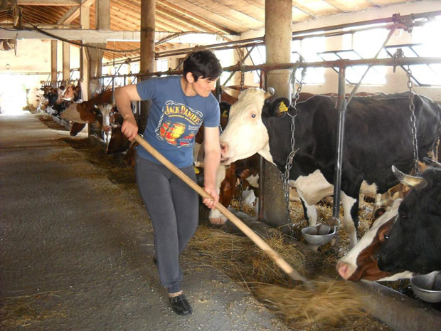 Штале пуне, фале само пут и водовод